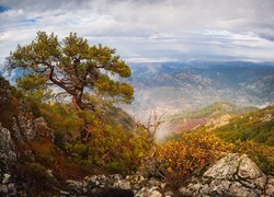 Góry, Troodos, Kamienie, Sosna, Zachód słońca, Cypr