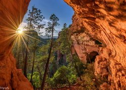 Skały, Sosny, Promienie słońca, Sedona, Arizona, Stany Zjednoczone