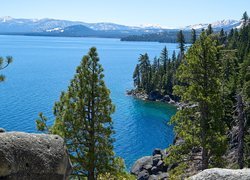 Sosny na skałach nad jeziorem Tahoe Lake w górach Sierra Nevada