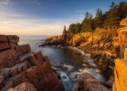 Morze, Skały, Drzewa, Sosny, Park Narodowy Acadia, Maine, Stany Zjednoczone