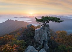 Park Prowincjonalny Daedunsan, Wschód Słońca, Drzewa, Sosny, Góry, Mgła, Prowincja Jeolla Północna, Korea Południowa