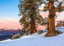 Zima, Drzewa, Niebo, Zachód słońca, Drzewa, Sosny, Góry, Kamienie, Śnieg, Carson Pass, Kalifornia, Stany Zjednoczone
