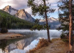 Góry, Sawtooth Range, Jezioro, Stanley Lake, Drzewa, Sosny, Idaho, Stany Zjednoczone
