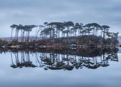 Wyspa, Drzewa, Sosny, Odbicie, Jezioro Derryclare Lough, Galway, Region Connemara, Irlandia