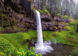 Wodospad, South Falls, Skały, Drzewa, Trawa, Park stanowy Silver Falls, Stan Oregon, Stany Zjednoczone