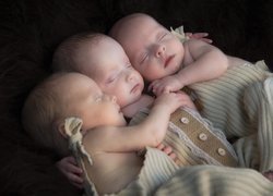 Śpiące trojaczki