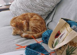 Śpiący rudy kot na kanapie