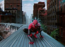 Spider-Man na dachu pociągu