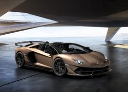 Sportowe Lamborghini Aventador SVJ