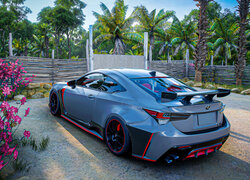 Gra, Forza Horizon 5, Lexus RC F, Niebieski