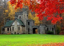 Stany Zjednoczone, Stan Ohio, Miasto Willoughby Hills, Park North Chagrin Reservation, Squires Castle - Zamek Giermka, Jesień, Drzewa