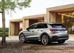 Audi Q4 e-Tron, Dom, Drzewo