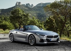 Srebrne BMW Z4