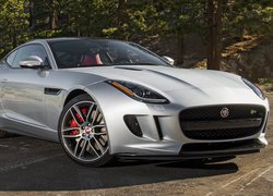 Srebrny, Jaguar F-Type