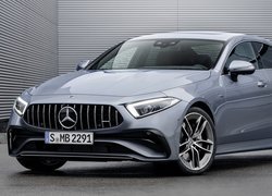 Mercedes-AMG CLS 53, Srebrny