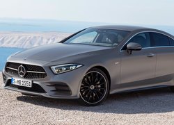 Srebrny Mercedes-Benz CLS-Class AMG Line