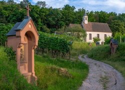 Kościół, Sankt Pantaleon, Stacje drogi krzyżowej, Droga, Winnice, Vogtsburg im Kaiserstuhl, Niemcy