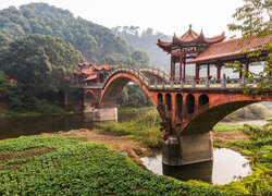 Most, Rzeka, Góry, Drzewa, Roślinność, Chengdu, Chiny