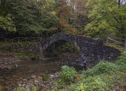 Stary kamienny most nad leśną rzeką