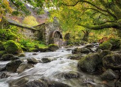 Stary młyn nad rzeką w angielskiej wiosce Borrowdale