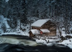Finlandia, Laponia, Kuusamo, Park Narodowy Oulanka, Młyn Myllykoski, Zima, Rzeka, Las, Drzewa