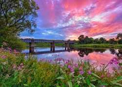 Irlandia Północna, Rzeka Mourne River, Zachód słońca, Most, Drzewa, Krzewy, Odbicie