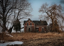 Stary opuszczony dom otoczony drzewami