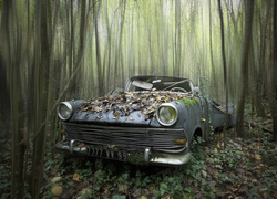 Stary zapomniany samochód w lesie