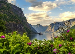 Norwegia, Fiord Aurlandsfjord, Wieś Flam, Statek, Góry, Kwiaty