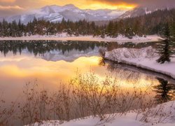 Staw Gold Creek Pond w Stanie Waszyngton