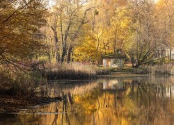 Poznań, Park Sołacki, Staw, Jesień