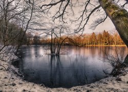 Staw otoczony drzewami zimą