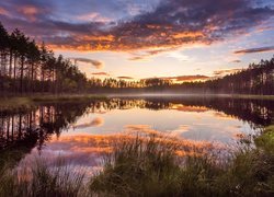 Finlandia, Lieksa, Park Narodowy Patvinsuo, Staw, Mgła, Drzewa,  Roślinność, Chmury, Zachód słońca, Odbicie