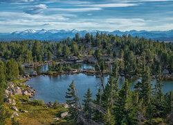 Staw, Kamienie, Drzewa, Świerki, Góry Absaroka, Wyoming, Stany Zjednoczone