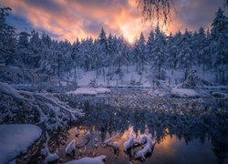 Norwegia, Staw, Gmina Ringerike, Zima, Drzewa, Śnieg
