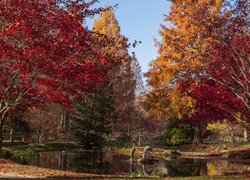 Staw w parku otoczony jesiennymi drzewami