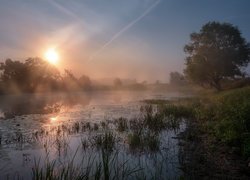 Staw w promieniach wschodzącego słońca