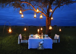 Stół nakryty do romantycznej kolacji pod drzewem oświetlonym lampionami