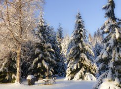 Zima, Śnieg, Drzewa, Las, Polana, Stolik, Krzesła, Słoneczny blask