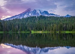 Stratowulkan Mount Rainer na tle jeziora w Parku Narodowym Mount Rainier