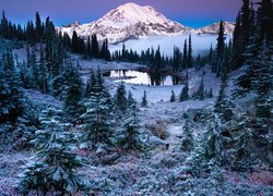 Stany Zjednoczone, Góry, Stratowulkan Mount Rainier, Park Narodowy Mount Rainier, Jezioro, Tipsoo Lake, Zima, Śnieg, Drzewa, Mgła