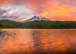 Jezioro, Góra, Stratowulkan Mount Rainier, Drzewa, Odbicie, Park Narodowy Mount Rainier, Stan Waszyngton, Stany Zjednoczone