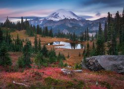 Stratowulkan Mount Rainier na terenie Parku Narodowego Mount Rainier w Stanach Zjednoczonych