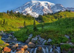 Strumień Edith Creek na tle stratowulkanu Mount Rainier