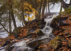 Drzewa, Kamienie, Strumyk, Wodospad, Bond Falls, Michigan, Stany Zjednoczone