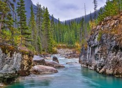 Park Narodowy Kootenay, Prowincja Kolumbia Brytyjska, Kanada, Strumień Tokumm Creek, Rzeka, Park prowincjonalny Marble Canyon, Skały, Góry, Drzewa, Kamienie