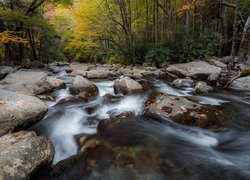 Strumień w Parku Narodowym Great Smoky Mountains