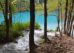 Strumień wpadający do jeziora w Parku Narodowym Jezior Plitwickich w Chorwacji