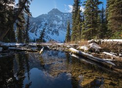 Kanada, Alberta, Kananaskis Country, Góry Canadian Rockies, Góra Mount Sarrail, Strumień, Drzewa