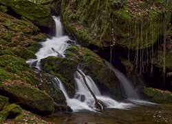 Omszałe, Skały, Big Creek, Rzeka, Rośliny, Stany Zjednoczone